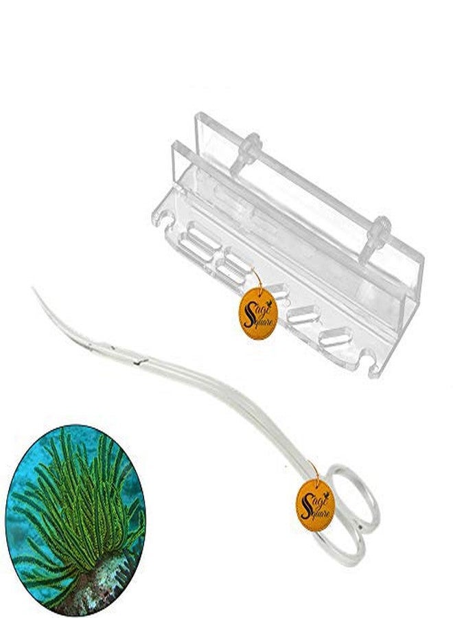 Sage Square Jumbo Size Professional Aquarium Tongs Scissor Long Stainless Steel Tool for Fish Tank, Aquatic Plant Cleaning (Wave Scissor & Acrylic Rack) - Image 1